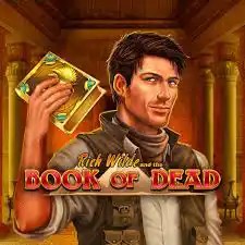 Book of Dead logo by Play'n GO Casino Kingdom